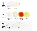 Vitamin C Suspension 23% + HA Spheres 2% 6.webp